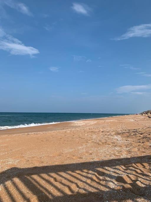 Ormond Beach, Fun & Loving Sun! 외부 사진